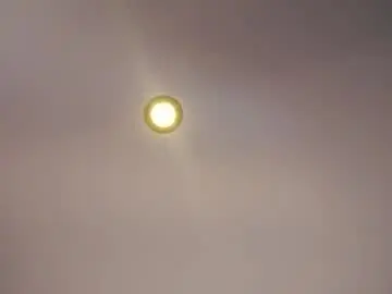 Chaturbate Adult Webcams of tashinapetitto