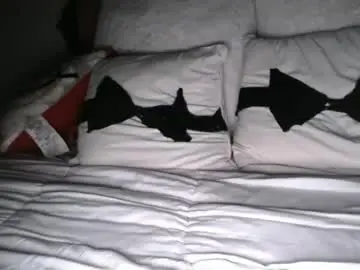 Chaturbate Adult Webcam of bigdicktrannynicole