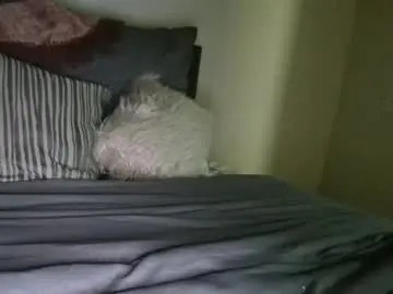 Chaturbate Best Webcam of bigdicktrannynicole