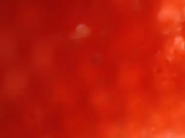 Chaturbate Live Sex Cam of emily_rosinn