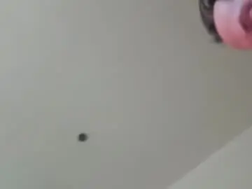 Chaturbate Best live sex cam show of gaypoonboy