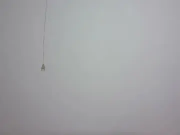 Chaturbate Adult Webcams of hornymonkey991