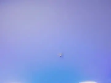 Chaturbate Free Live Porn of kamisuarezz