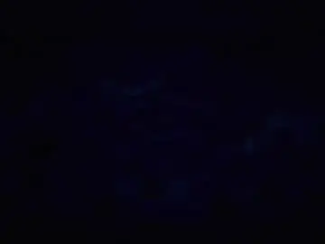 Chaturbate Best Webcam of _89bet