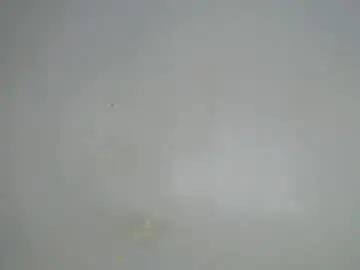 Chaturbate Nude Webcam of cheat_chat