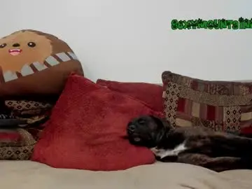 Chaturbate Live Sex of sexymountainman420