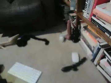 Chaturbate Best live sex cam show of acacias2022