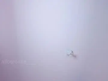 Chaturbate Live Porn of alicerosee___