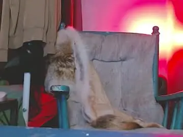 Chaturbate Nude Webcam of cguffey2284