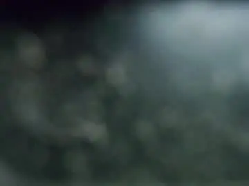 Chaturbate Best live sex cam show of r9dima1998