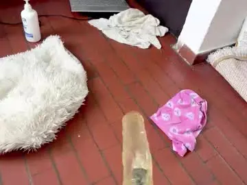 Chaturbate Live Porn of xandernaked