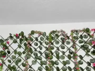 Chaturbate Watch Live Sex Cams of antonella4you