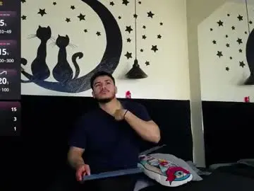 Chaturbate Free Live Porn of ariies13