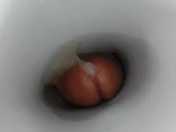 Chaturbate Sex Cam of jkrubs665
