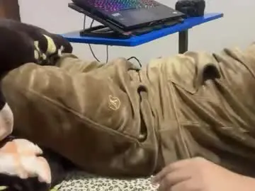 Chaturbate Adult Webcams of aaryan_sexoo