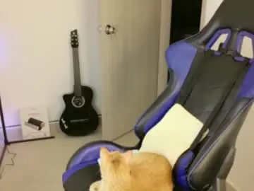 Chaturbate Live Sex of juan_da01