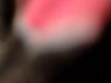 Chaturbate Adult Video Chat of hardandhorny422