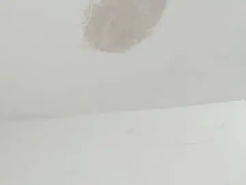 Chaturbate Watch Live Sex Cams of brant_garcia