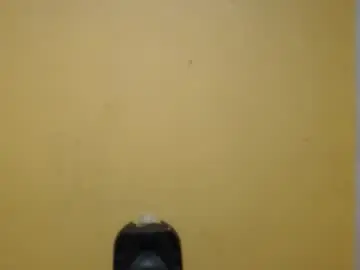 Chaturbate Adult Webcams of smith_lechosoxxx