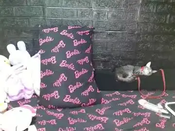 Chaturbate Free Live Porn of tsempress