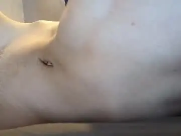 Chaturbate Free Live Porn of franky_twink