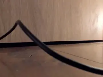 Chaturbate Free Porn Cam of rachel_rey