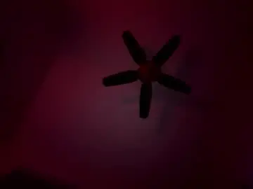 Chaturbate Nude Webcam of zebrasandgazelles