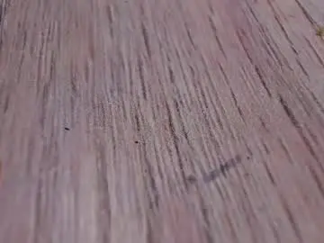 Chaturbate Adult Video Chat of morthy_downey