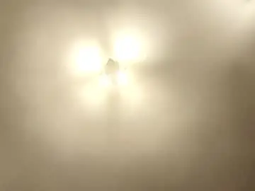 Chaturbate Sex Chat of bigreallover