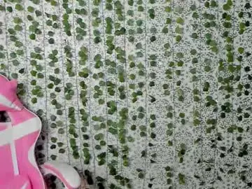 Chaturbate Adult Video Chat of srygafon