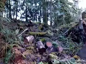 Chaturbate Watch Live Sex Cams of info_chat