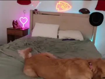 Chaturbate Free Porn Cam of ari_lovexo