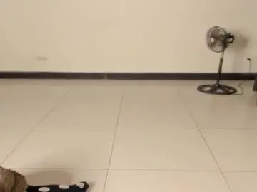 Chaturbate Live Sex of carolinnagomez