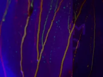 Chaturbate Sex Cam of heybanan