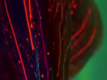 Chaturbate Nude Webcam of heybanan