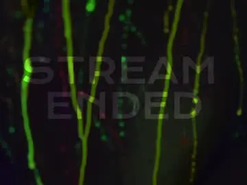 Chaturbate Live Sex of heybanan