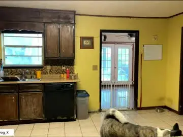 Chaturbate Watch Live Sex Cams of the_alpha_dog_xxx