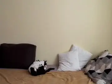 Chaturbate Live Porn of gaylashuhi