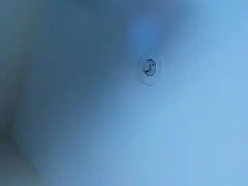 Chaturbate Free Live Porn of rgmo17