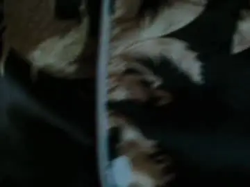 Chaturbate Watch Live Sex Cams of roman0111