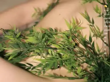 Chaturbate Best Webcam of toshimori