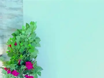 Chaturbate Nude Webcam of amelia_myers