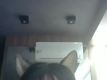 Chaturbate Adult Webcam of skinnykittencam