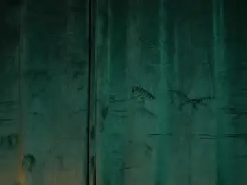 Chaturbate Adult Video Chat of tom_fordd