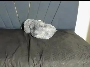 Chaturbate Adult Video Chat of an_fox23