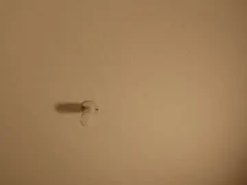 Chaturbate Sex Cam of virtual111_