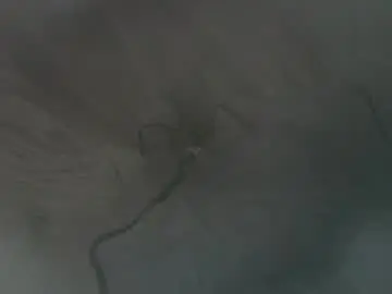 Chaturbate Sex Chat of hooch33