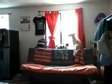 Chaturbate Adult Webcam of abbyasher