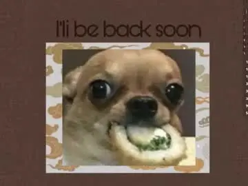 Chaturbate Adult Webcam of moonrenata