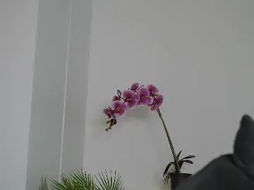 Chaturbate Watch Live Sex Cams of sonya_kelsey